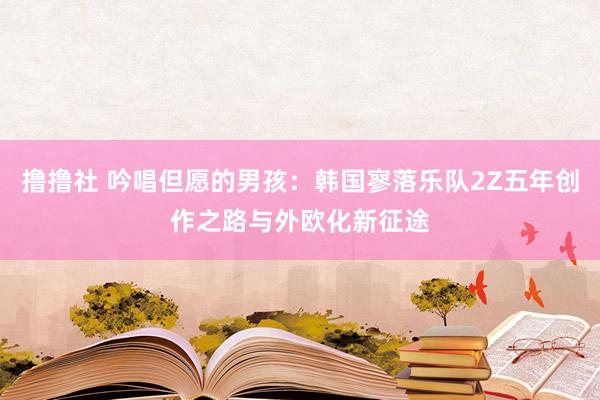 撸撸社 吟唱但愿的男孩：韩国寥落乐队2Z五年创作之路与外欧化新征途