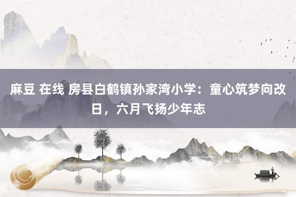 麻豆 在线 房县白鹤镇孙家湾小学：童心筑梦向改日，六月飞扬少年志