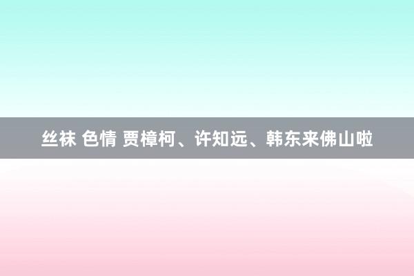 丝袜 色情 贾樟柯、许知远、韩东来佛山啦