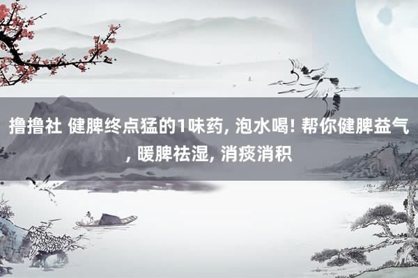 撸撸社 健脾终点猛的1味药, 泡水喝! 帮你健脾益气, 暖脾祛湿, 消痰消积