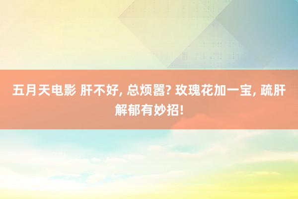 五月天电影 肝不好, 总烦嚣? 玫瑰花加一宝, 疏肝解郁有妙招!