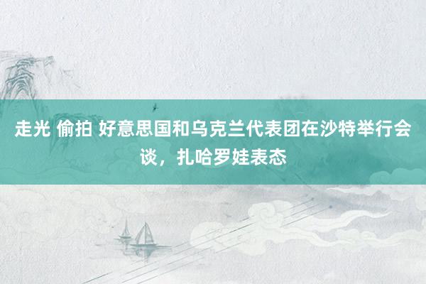 走光 偷拍 好意思国和乌克兰代表团在沙特举行会谈，扎哈罗娃表态
