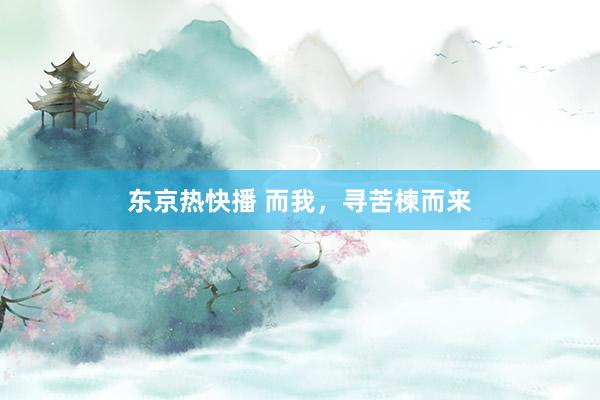 东京热快播 而我，寻苦楝而来