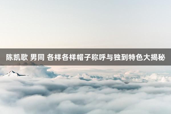 陈凯歌 男同 各样各样帽子称呼与独到特色大揭秘