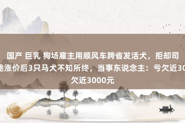 国产 巨乳 狗场雇主用顺风车跨省发活犬，拒却司机中途涨价后3只马犬不知所终，当事东说念主：亏欠近3000元