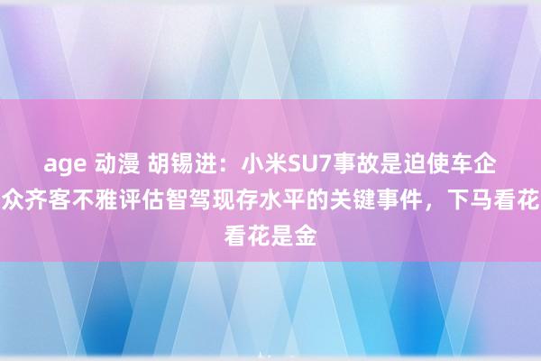 age 动漫 胡锡进：小米SU7事故是迫使车企和公众齐客不雅评估智驾现存水平的关键事件，下马看花是金